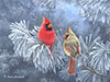 Frosty Morning Cardinals